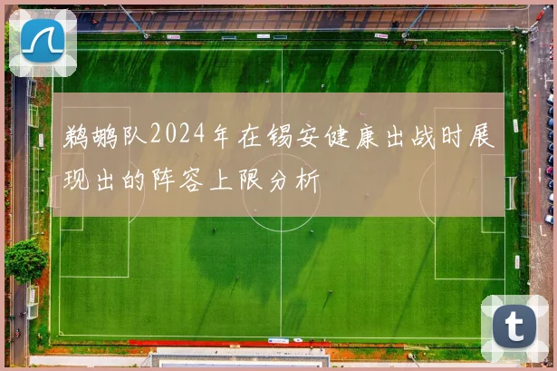 鹈鹕队2024年在锡安健康出战时展现出的阵容上限分析